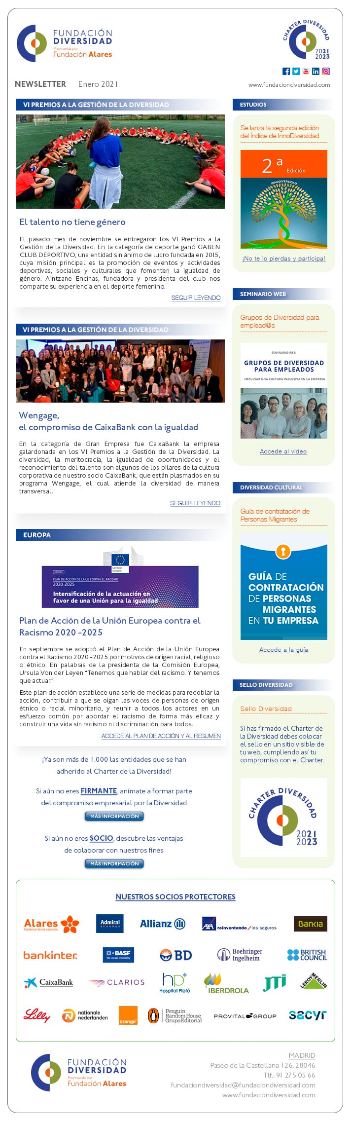 Newsletter Enero 2021 | Fundación Diversidad
